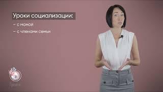 Курс "Социализация" Марины Ступиной. Онлайн-школа "Принятие"