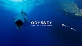 Best WAHOO fishing in the world? The ODYSSEY Series: Episode 1