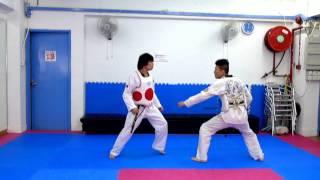 TKD Super Kicks (turning kick series)