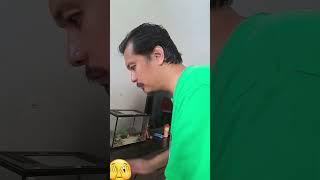 IT'S a PRANK #shorts #viralshorts #cece3dchannel