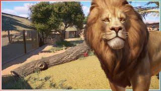 West African Lion Habitat | Planet Zoo Speed Build