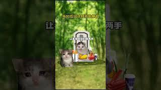 当00后设计师开始祭祖 老祖：“我当年也不这样啊！？”#猫meme #猫meme小剧场 #搞笑 #离谱 #设计师