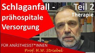 Schlaganfall – prähospitale Versorgung. Teil 2 – Therapie & Dokumentation & Organisationsmaßnahmen