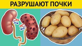 10 продуктов, разрушающих ПОЧКИ. +7 правил для здоровья почек