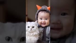 cat and baby friendship #animals #remix #cute #pets