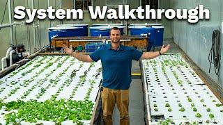 Walkthrough of our Aquaponics System (Tips and Tricks)!