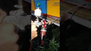 Бедные пчелки, как же им тяжело ( Наш WatsApp:89954146475