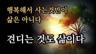 행복해서 사는것만이 삶은 아니다. 견디는 것도 삶이다 [행복을 말하기 힘든 삶일지라도 계속 살아갈 이유가 되는 것들 ]