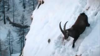 Parc national de la Vanoise - Tour de France de la biodiversité 18/21