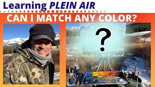 Plein Air  Oil Painting-How To Mix Any Plein Air Landscape COLOR | LIMITED PALETTE