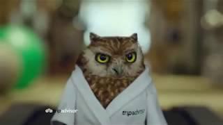 TRIPADVISOR Commercial, 'Treadmill'