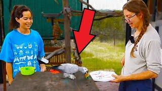 Maya and Kayla hang out and paint with the parrots and chickens