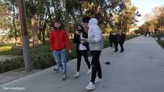 rat prank in the park  // broma rata en el parque