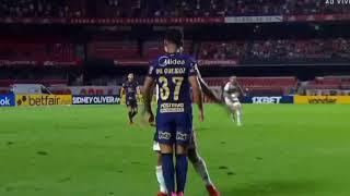 LIZIERO DA SOC@ NA CARA BRIG@ NO JOGO SÃO PAULO X CORINTIANS