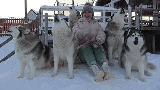 Хаски Зохан спел песню на свою День Рождения (7 лет)