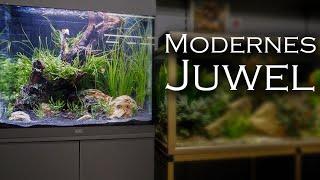 Modernes Juwel-Aquarium einrichten | Aquado-Zoo Dortmund