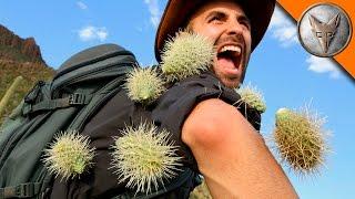 EXTREME Cactus Attack!