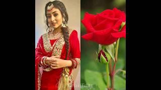 Anchal Sahu what's app status Anchal Sahu vs Flower 