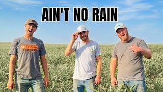 Ain't No Rain (Ain't No Love in Oklahoma - TWISTERS Parody)