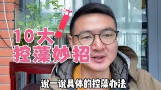 控藻10大妙招，助你摆脱绿水和爆藻困扰，维持鱼缸藻类的平衡