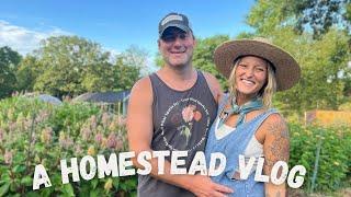 A Homestead Vlog | Day In The Life
