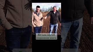 Влаги нет, но урожаи лучше.#сельскоехозяйство #агробизнес