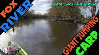 Holy Giant Jumping Carp Bassman!!! Kayak Fishing the Fox River SE WISC