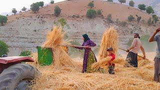 Nomad Family Harvests Crops: Nomadic Farming