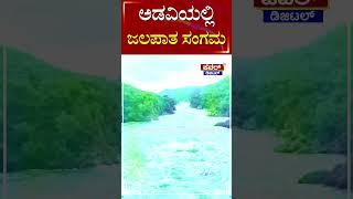 Rain Updates : ಅಡವಿಯಲ್ಲಿ ಜಲಪಾತ ಸಂಗಮ | Waterfalls | Cauvery River | Power TV News