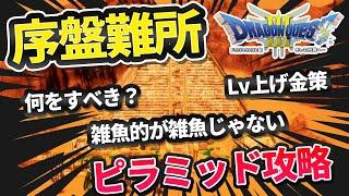 【ドラクエ3リメイク】序盤難所「ピラミッド攻略」何をすべき？