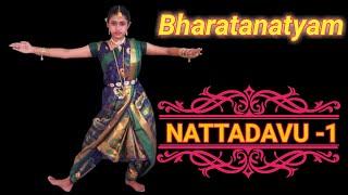Bharatanatyam || nattadavu lesson 1|| rsdg bulet