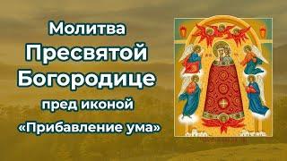 Молитва Пресвятой Богородице пред иконой «Прибавление ума» с текстом