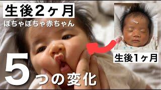 【生後2ヶ月】ぽちゃぽちゃ赤ちゃんの5つの変化！2 months old baby