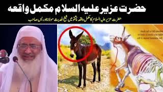 Hazrat Uzair A.S Waqia Pashto Bayan 2021 _ Shiekh Ul Hadees Molana Idrees Saib