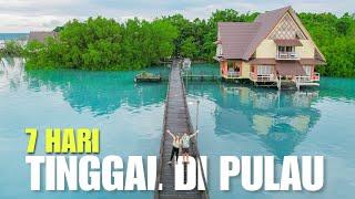 (108) HIDUP DI PULAU TERSEMBUNYI Penuh Binatang & Ikan Besar | Maratua - Sienna Resort