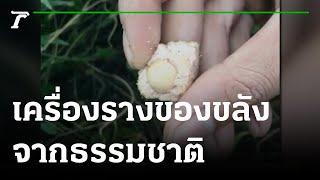 “คตคูณ” เครื่องรางของขลังจากธรรมชาติ | 21-02-65 | ตะลอนข่าว