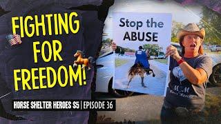 Horse Shelter Heroes S5E36 - Fighting for Freedom!