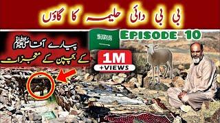 Halima Sadia's House & Village - Dai Halima Sadia (RA) Full Ziyarat/رسولٌ اللہ کا بچپن یہاں گزرا