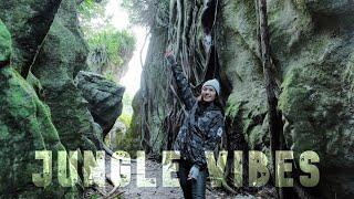 Te Waikoropupu Springs & The Grove - Takaka | South Island New Zealand Road Trip Vlog 3/4