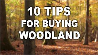 10 Tips for Buying a Woodland | Off Grid | Bushcraft | Camping