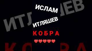 Ислам Итляшев - КОБРА