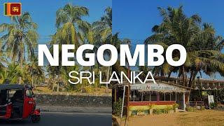 NEGOMBO, SRI LANKA: 8 days in paradise staying at Negombo Beach | where to eat, what to see and do