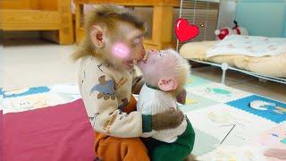 So cute, baby monkey Poki expressed his feelings to monkey Pupu.