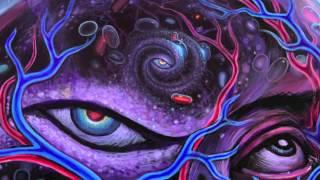 DMT, Mathematical Dimensions, Language, Memes and Death (Terence Mckenna)