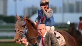 Gunnevera  |  2017 Preakness Stakes | The Horses to Watch