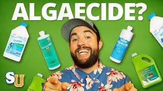 The TRUTH About Using ALGAECIDE In Your POOL | Swim University
