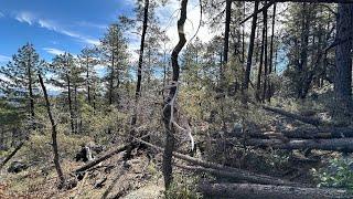 2024 SHED SEASON HIGH COUNTRY