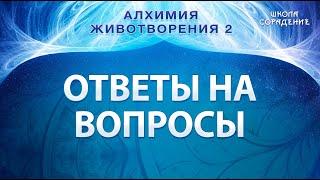 Ответы на вопросы #АлхимияЖивотворения #Гарат #школаСорадение