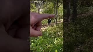 Bad Neighbor part 6… caught trespassing in my woods #funny #hunting #comedy #trespassing