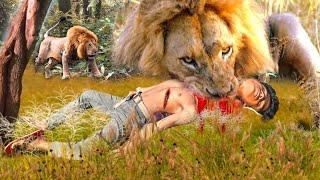 Lion attack buffalo in African forest | lion attack animal | lion attack video stories part-32